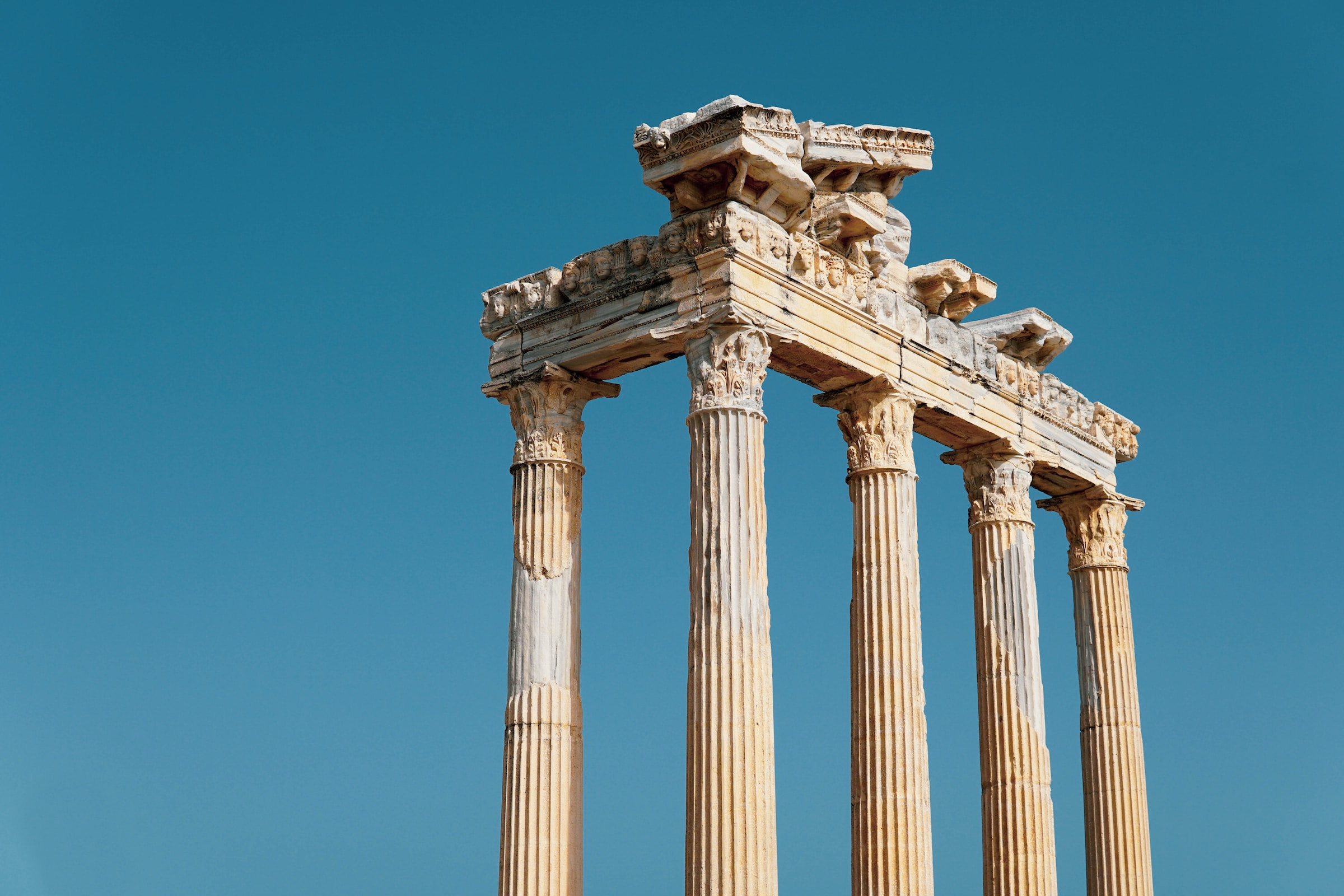 Cadde Gayrimenkul Hakkında